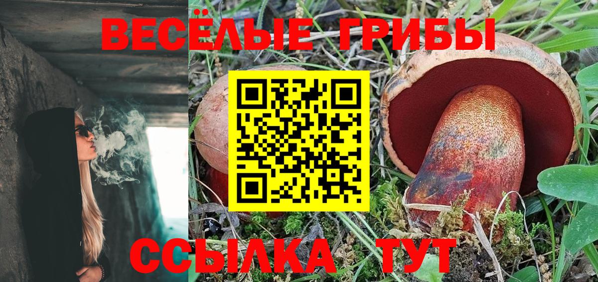 Галлюциногенные грибы Psilocybine cubensis  Галлюциногенные грибы Psilocybe  Вход с VPN  Славгород 