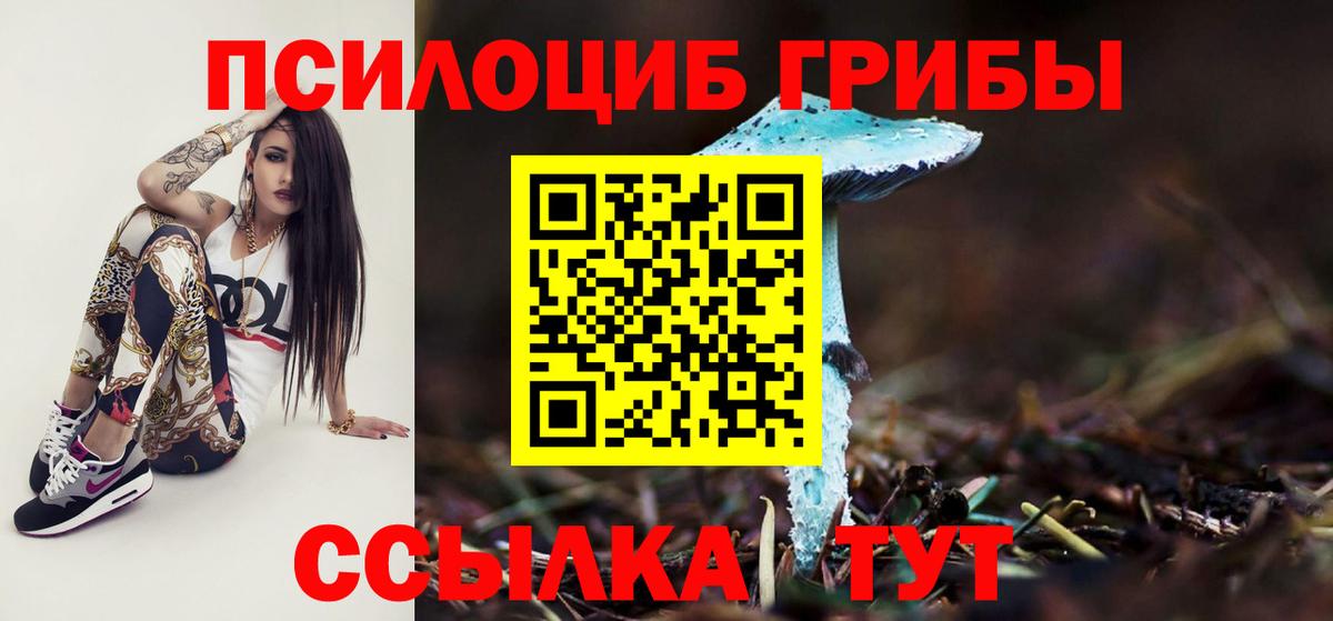 Галлюциногенные грибы прущие грибы Славгород